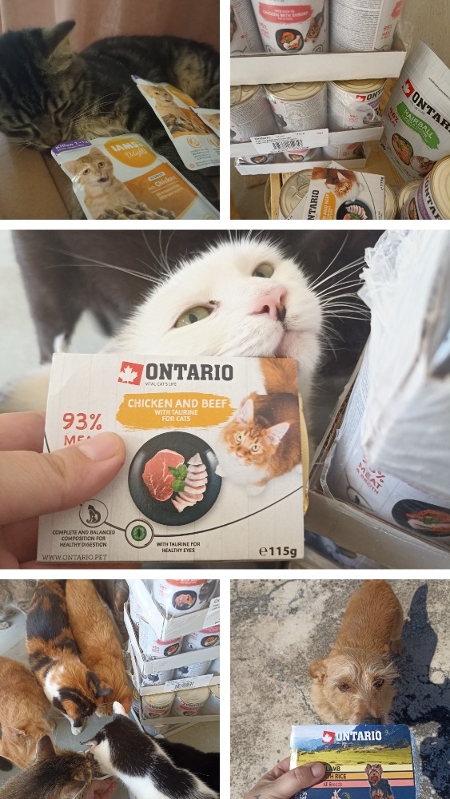 pomáháme zvířatům Drnovice